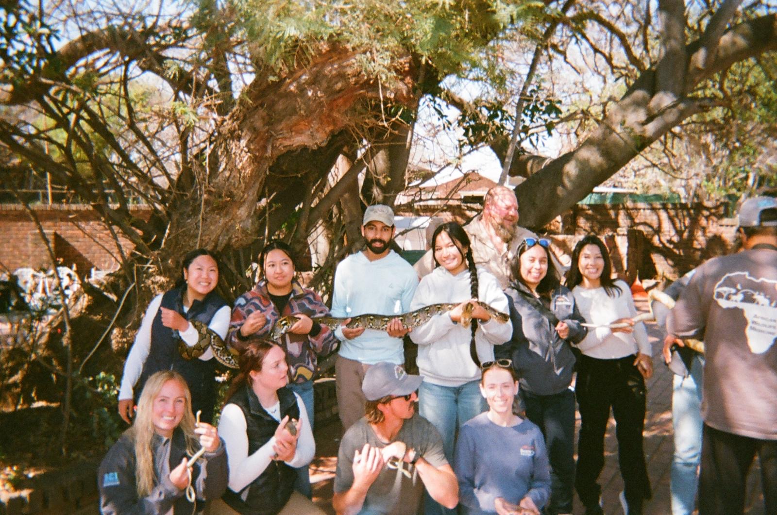 Veterinary students taking part in a supervised snake-handling practical